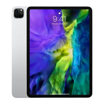 iPad Pro 11 2nd Gen (2020)